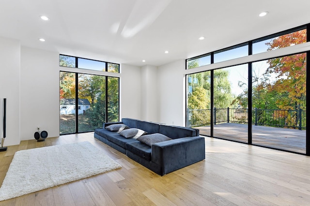 living room featuring a wealth of natural light and light wood-type flooring