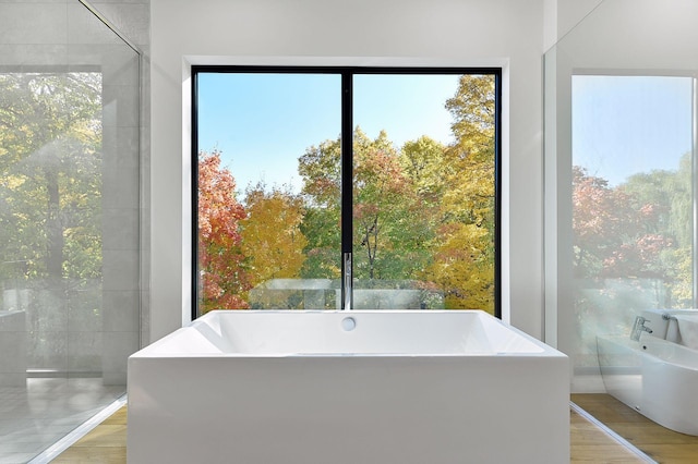 bathroom featuring a washtub and hardwood / wood-style floors