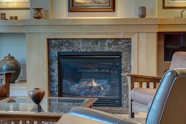 interior details with a high end fireplace