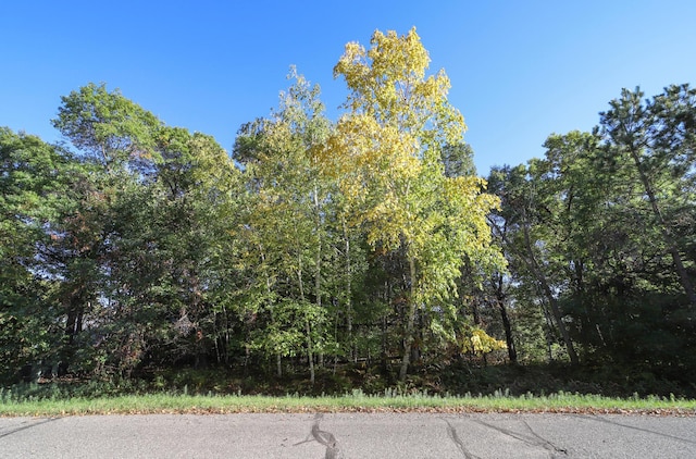 Listing photo 3 for TBD River Vista Dr, Baxter MN 56425