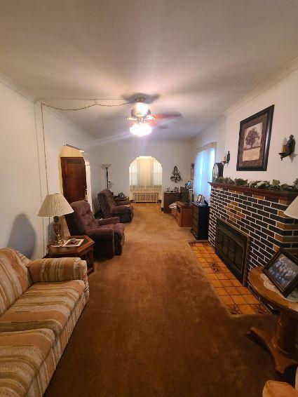 carpeted living room with ceiling fan, crown molding, radiator heating unit, and a fireplace