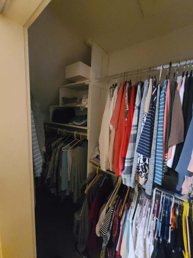 view of walk in closet