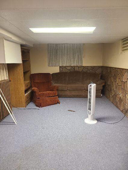 basement with carpet flooring