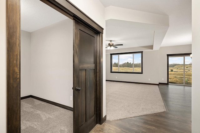 corridor featuring baseboards, dark wood-type flooring, and a wealth of natural light