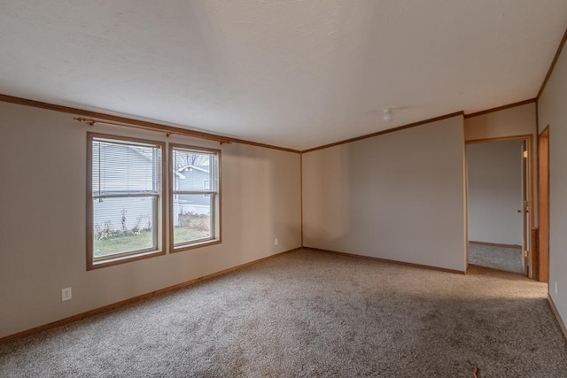 carpeted spare room with crown molding