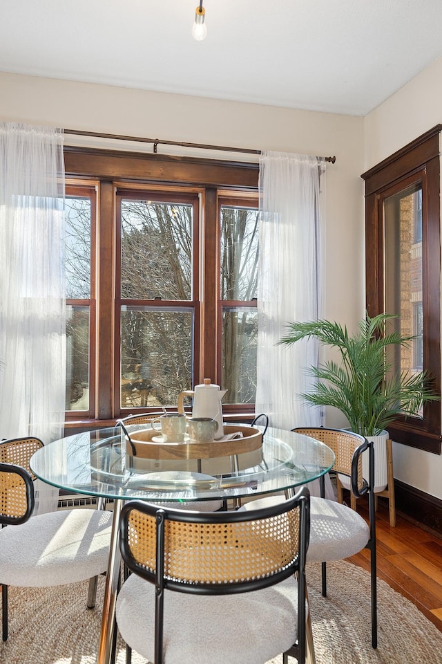 dining room featuring wood-type flooring