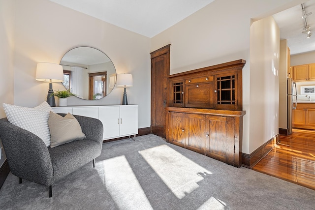 living area featuring dark hardwood / wood-style flooring and track lighting