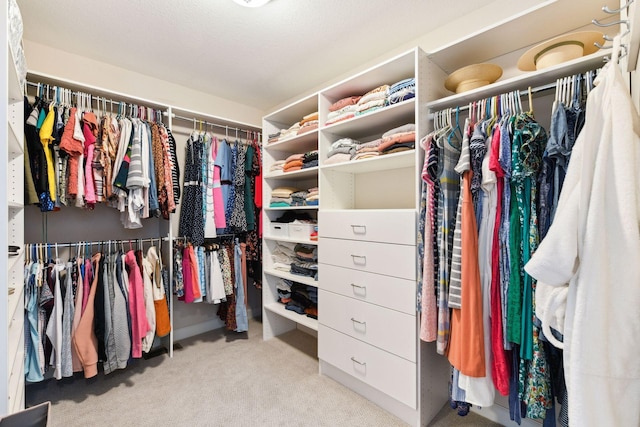 21360 Christmas Ln, Shorewood, MN 55331 - spacious closet featuring carpet flooring