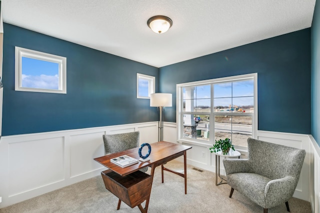 carpeted office space featuring a healthy amount of sunlight and a textured ceiling