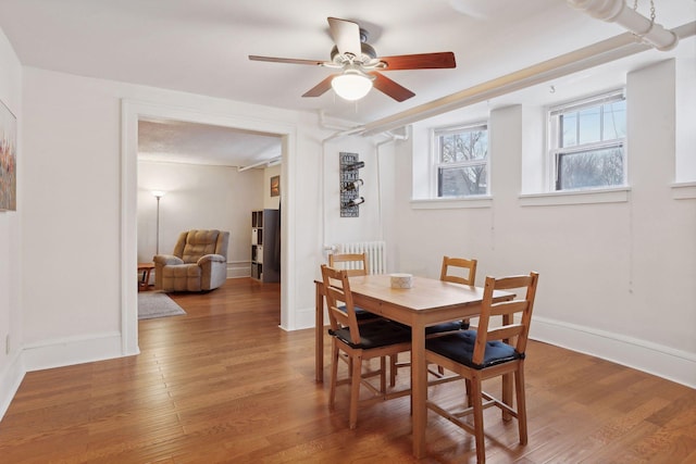 dining room with hardwood / wood-style floors, radiator heating unit, and ceiling fan