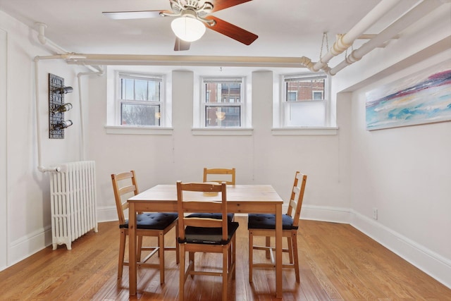 dining space with radiator heating unit, light wood-type flooring, and a wealth of natural light