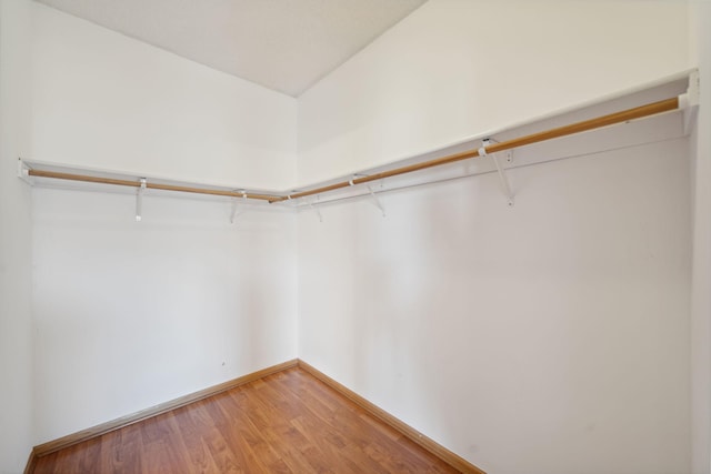 walk in closet with wood-type flooring