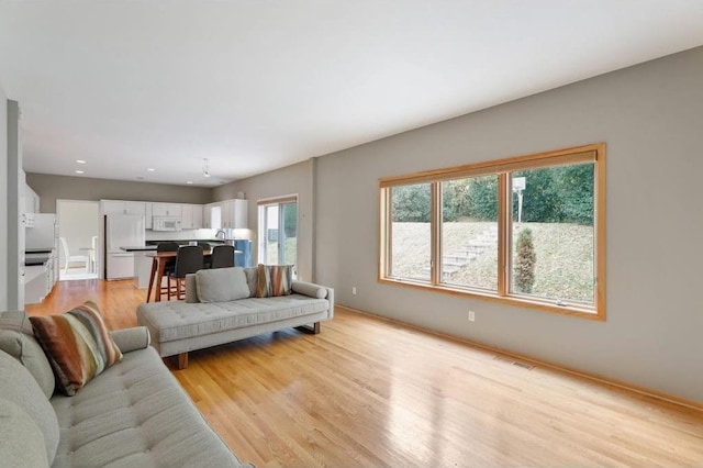 living room featuring light hardwood / wood-style floors