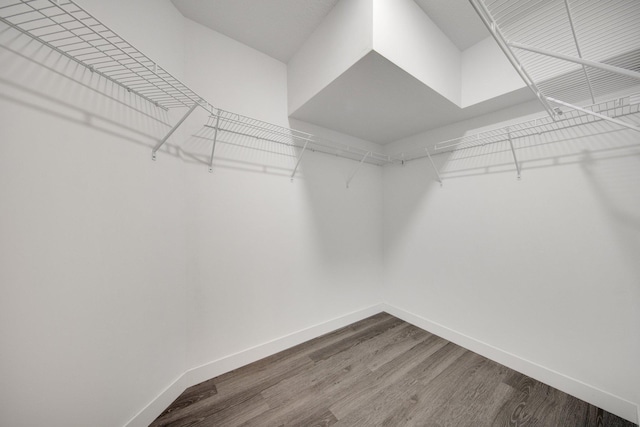 spacious closet with hardwood / wood-style floors