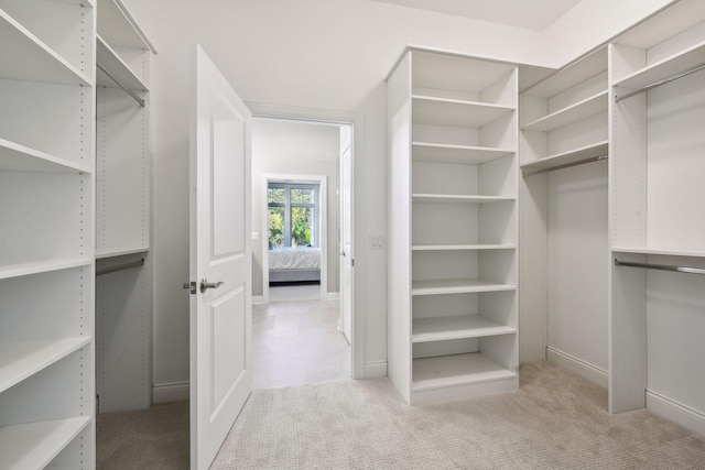 spacious closet featuring light carpet