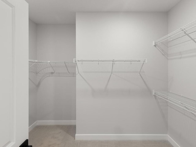 walk in closet with carpet flooring