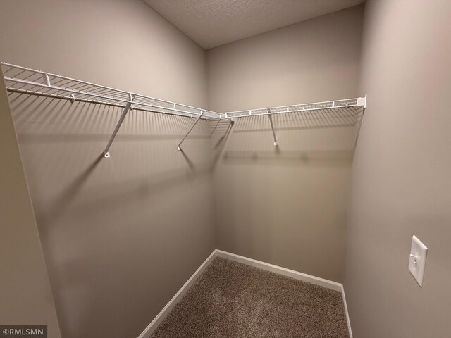 walk in closet with carpet