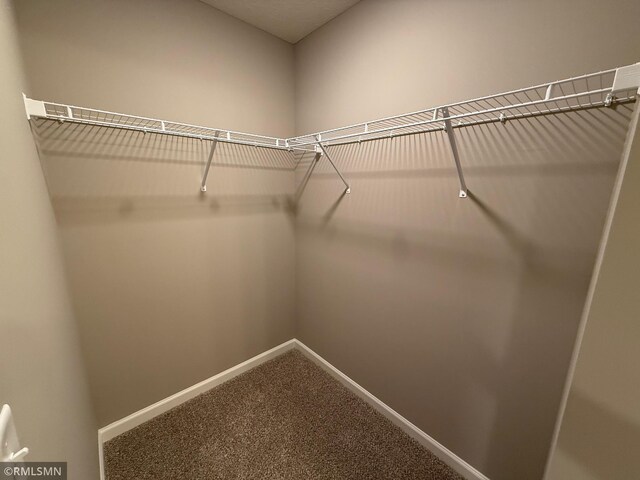 walk in closet with carpet floors