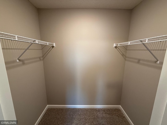 walk in closet with carpet flooring