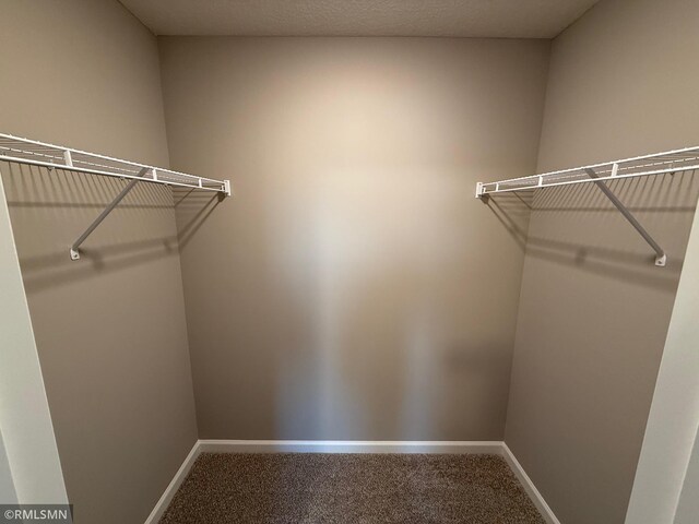 2656 Ivy Ave NE, Saint Michael, MN 55376 - walk in closet with carpet floors