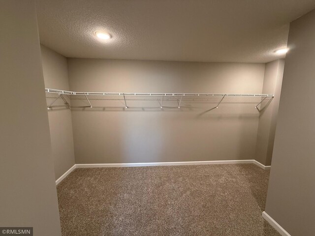 spacious closet featuring carpet