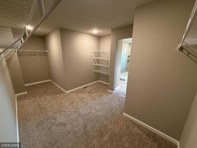 spacious closet featuring carpet floors