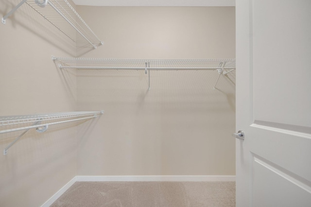 spacious closet with carpet