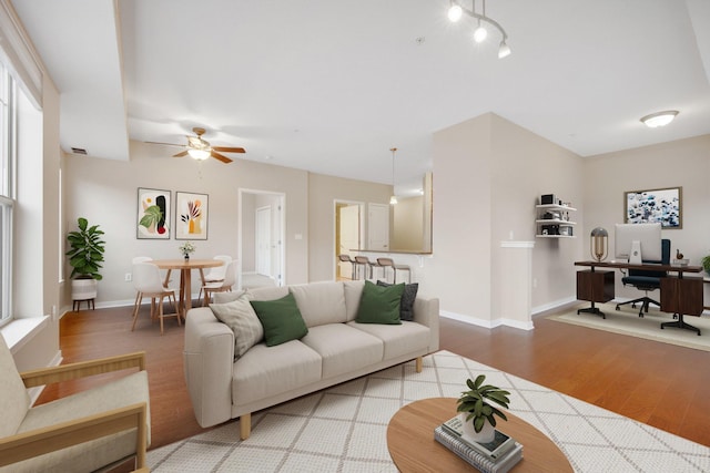 living room featuring ceiling fan and wood-type flooring