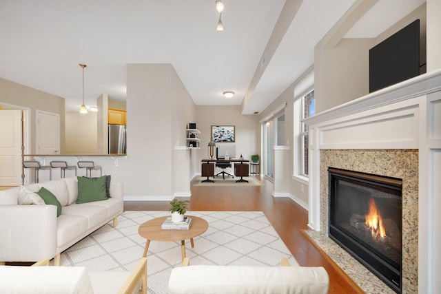 living room with a premium fireplace and light hardwood / wood-style flooring