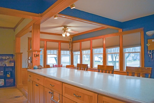 kitchen with light brown cabinetry, light hardwood / wood-style floors, ceiling fan, and crown molding