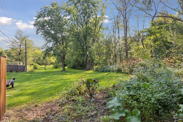 view of yard featuring fence