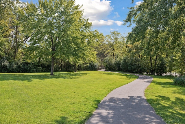 view of property's community featuring a forest view and a lawn