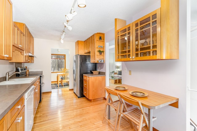 kitchen featuring light wood-style flooring, a sink, open shelves, a textured ceiling, and stainless steel appliances