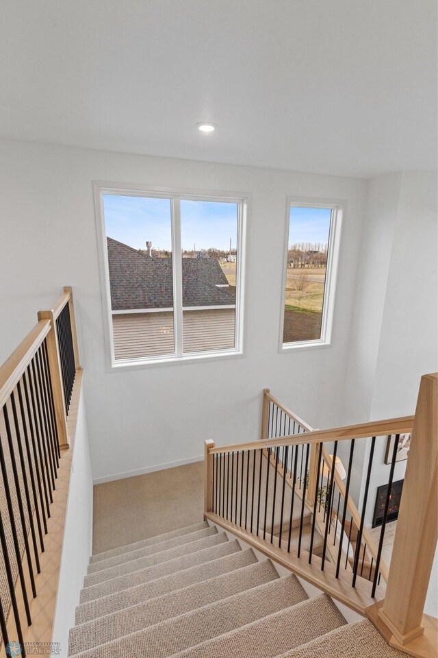 staircase with carpet