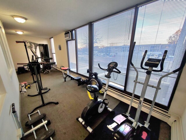 4110 Rahn Rd Unit 215, Eagan, MN 55122 - exercise room featuring plenty of natural light and carpet floors