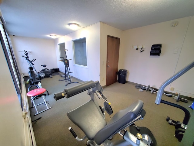 4110 Rahn Rd Unit 215, Eagan, MN 55122 - exercise area featuring a textured ceiling and carpet floors