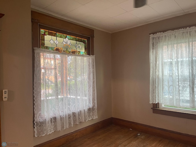 spare room featuring a wealth of natural light and hardwood / wood-style flooring