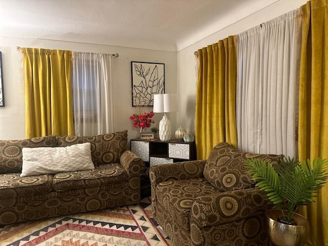 living room with a textured ceiling