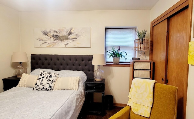 bedroom with a closet and dark wood-type flooring