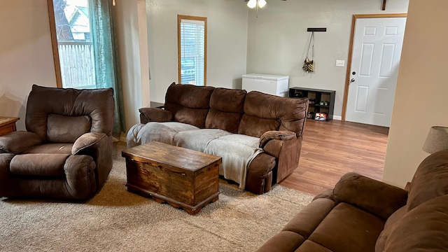 living room with light hardwood / wood-style floors, ceiling fan, and a healthy amount of sunlight