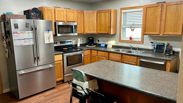 kitchen with sink, light hardwood / wood-style flooring, and appliances with stainless steel finishes