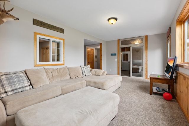 view of carpeted living room