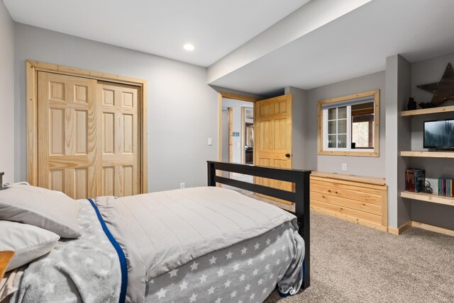 bedroom featuring carpet and a closet