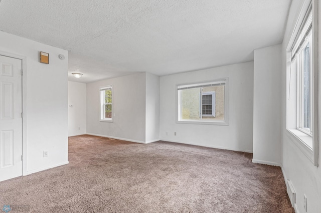 spare room with carpet flooring and a textured ceiling