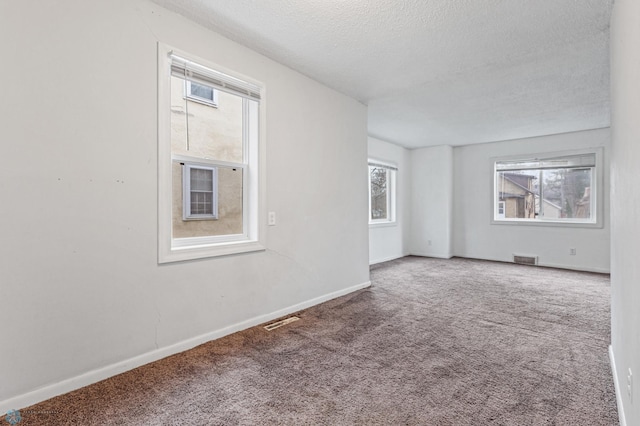 unfurnished room with carpet flooring, a healthy amount of sunlight, and a textured ceiling