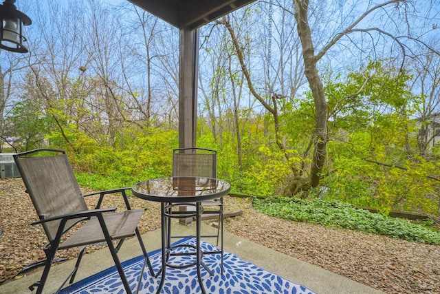 7037 110th Street Cir Unit 14, Bloomington, MN 55438 - view of patio