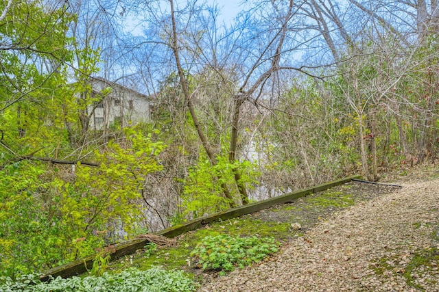 7037 110th Street Cir Unit 14, Bloomington, MN 55438 - view of yard