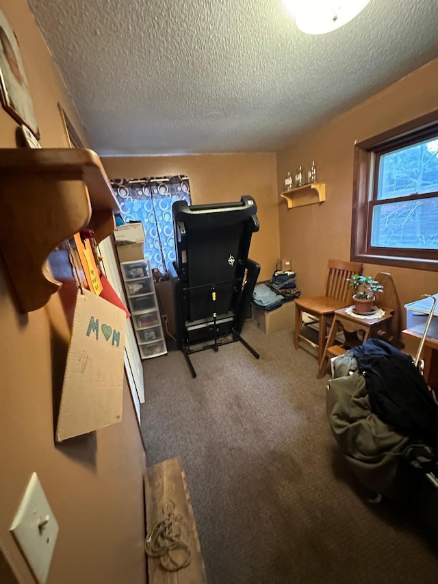 interior space featuring carpet and a textured ceiling