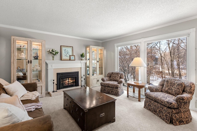 carpeted living room with a textured ceiling, ornamental molding, and a fireplace