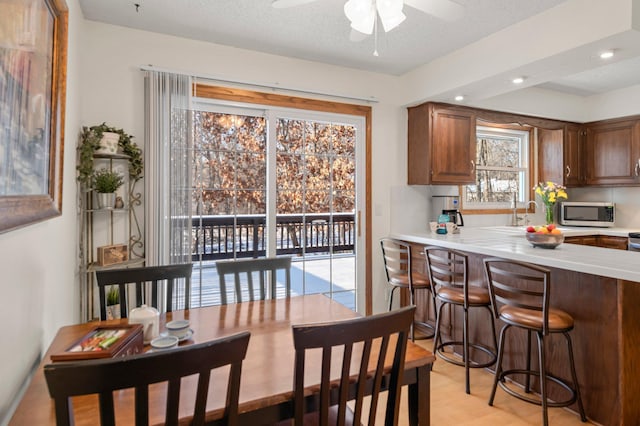 dining room featuring ceiling fan, light hardwood / wood-style floors, a wealth of natural light, and sink